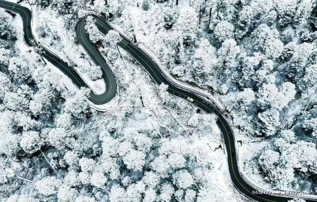 1768804996212525Ut1S.jpg 225094522.jpg